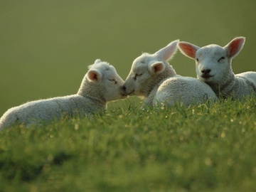 Kindergeburtstag Feiern Beste Angebote Und Ideen Bester Geburtstag