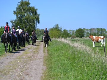 Kunstschule Miraculum Und Machmitmuseum Der Stadt Aurich Accueil