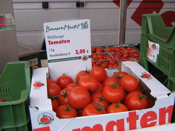 F. Hermanns - Tomatenbau