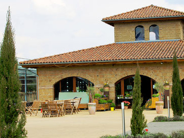 Blumenfeld Pues-Tillkamp