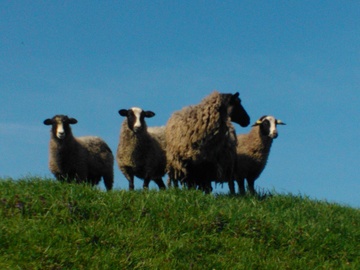 Familie Minners-Techel