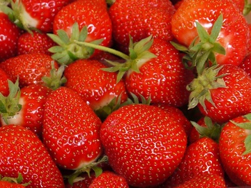 Böckmann Erdbeeren GbR