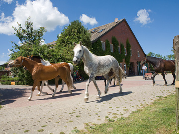 Suchergebnisse Fur Milch Nahe 26603 Aurich