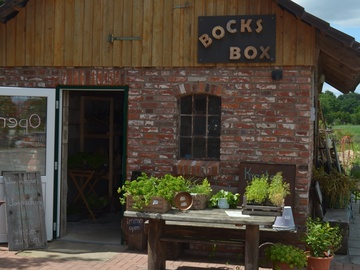 Bock's Box