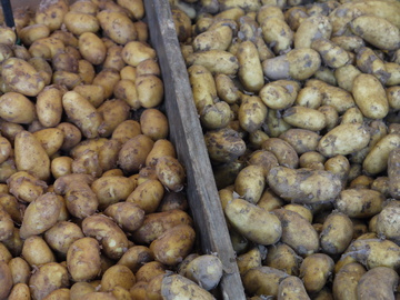 Kartoffelhof Richters